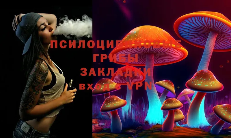 Галлюциногенные грибы Psilocybe  Волоколамск 